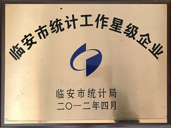 臨安市統(tǒng)計工作星級企業(yè)