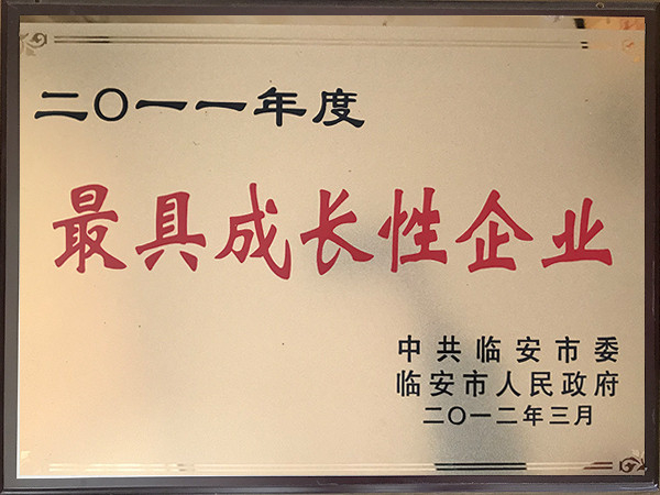 2011年度最具成長性企業
