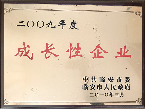 2009年度成長性企業