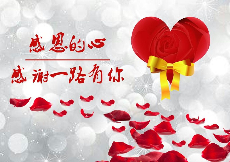 杭州臨安華龍摩擦片|感恩節，心懷感恩，砥礪前行！
